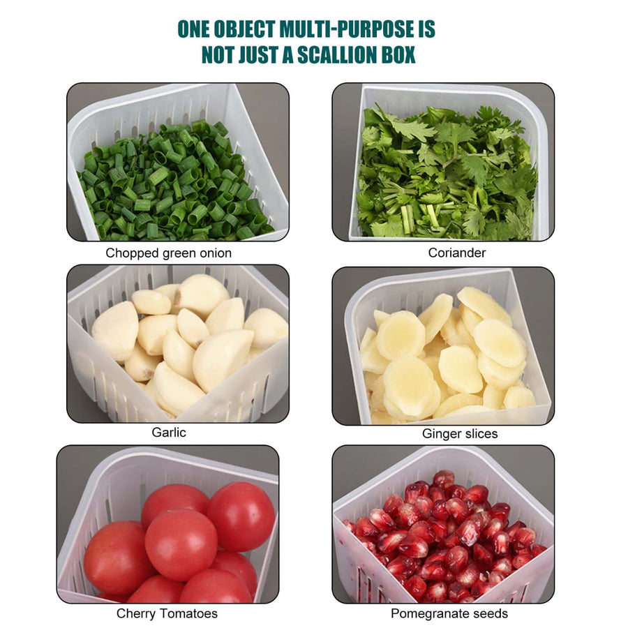 4 In 1 Vegetable Fruit Storage Box With Lid β view 4